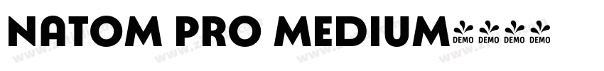 Natom Pro Medium字体转换